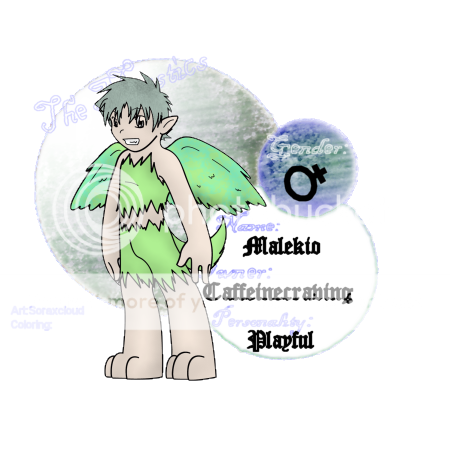 User Image